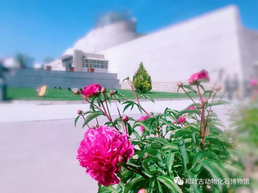 微信图片_20190612163618