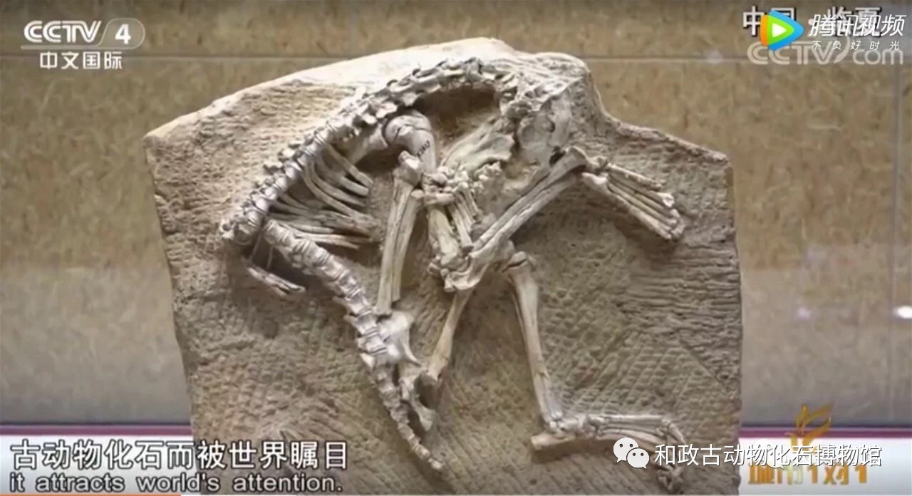 微信图片_20190412094145