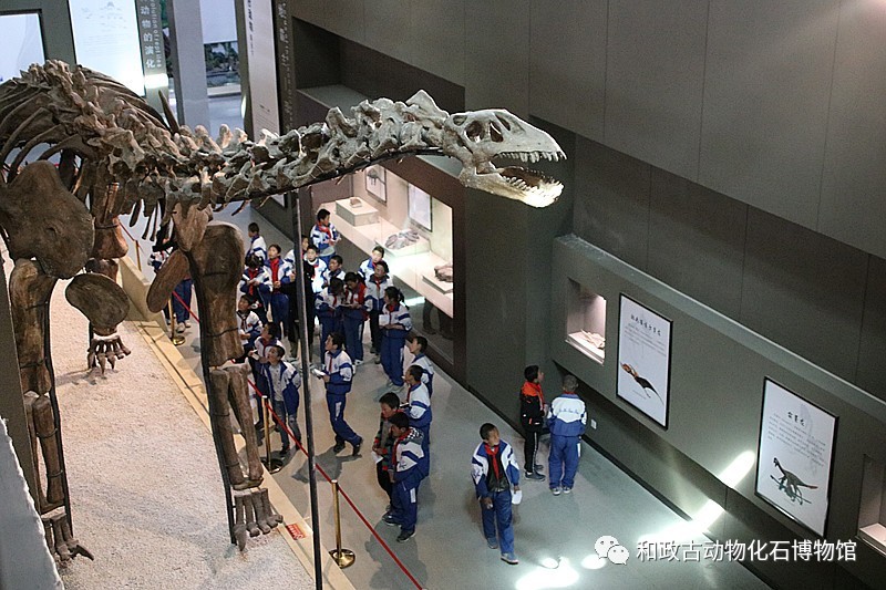 微信图片_20190412093606