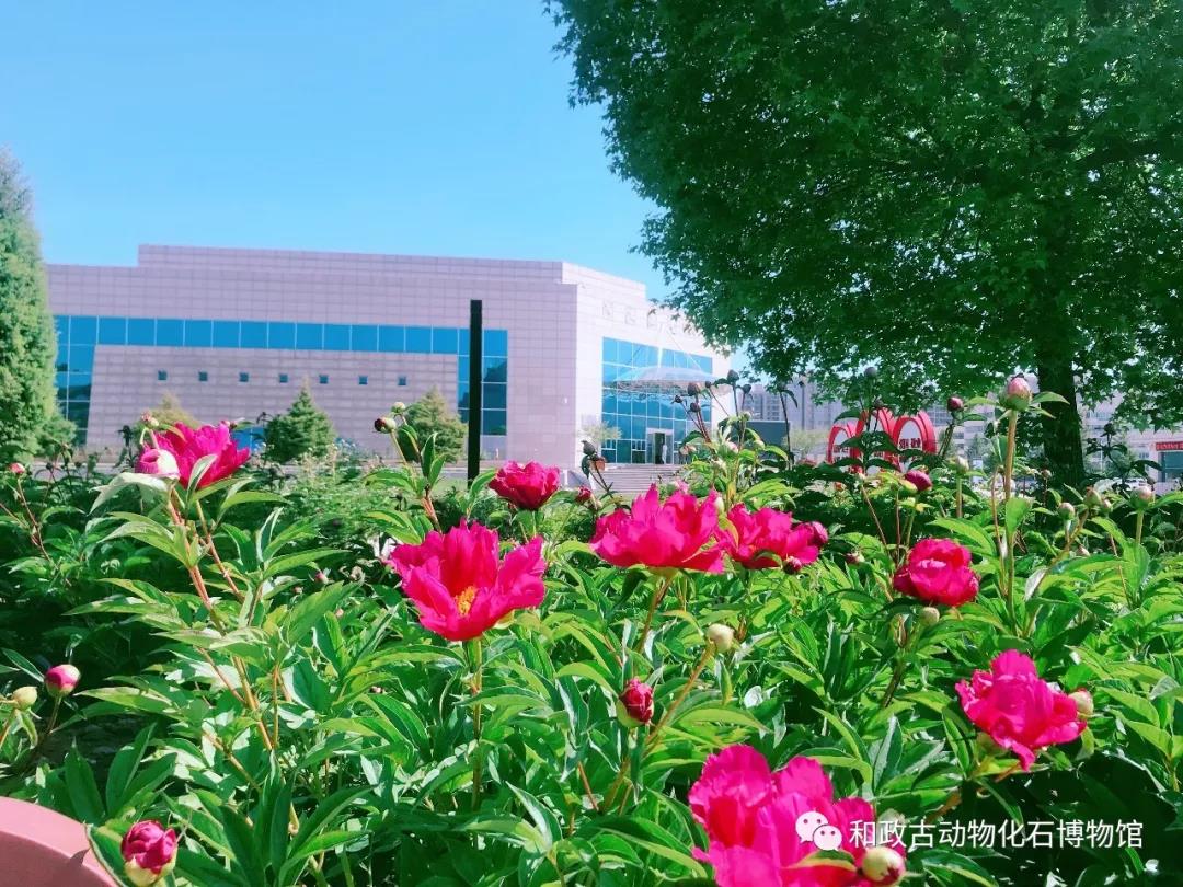 微信图片_20190612163623