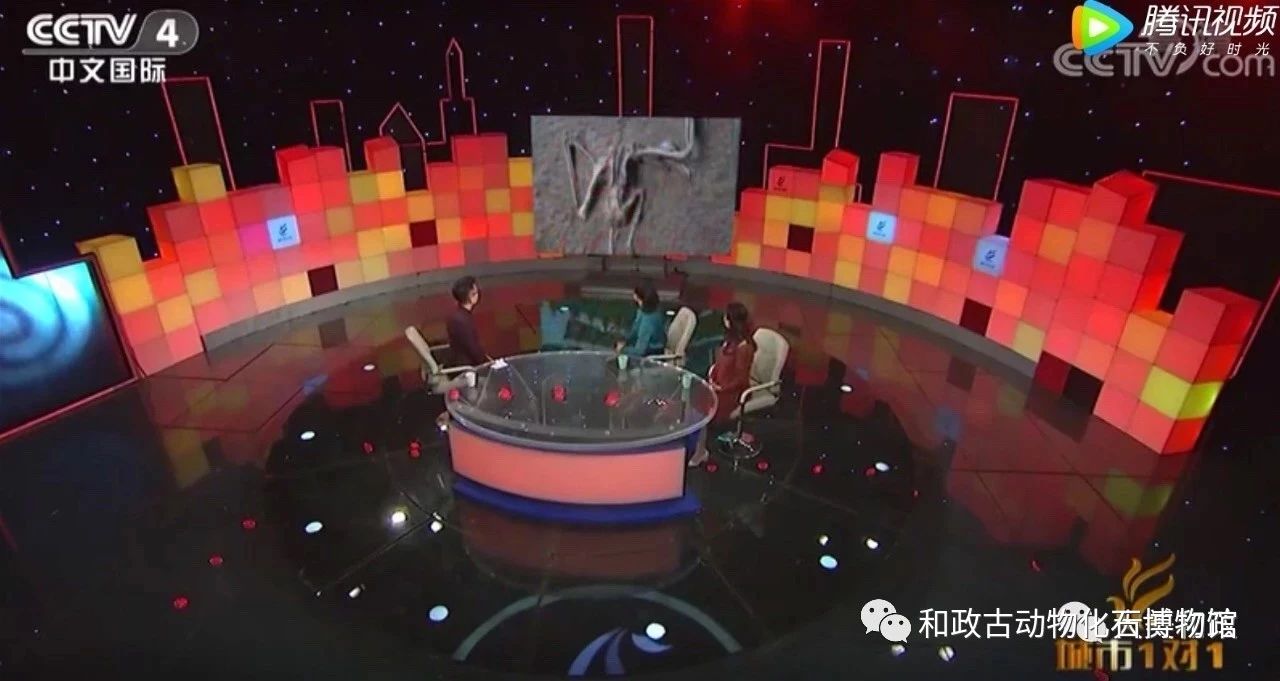 微信图片_20190412094130