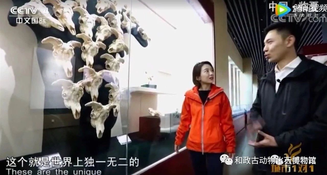 微信图片_20190412094136