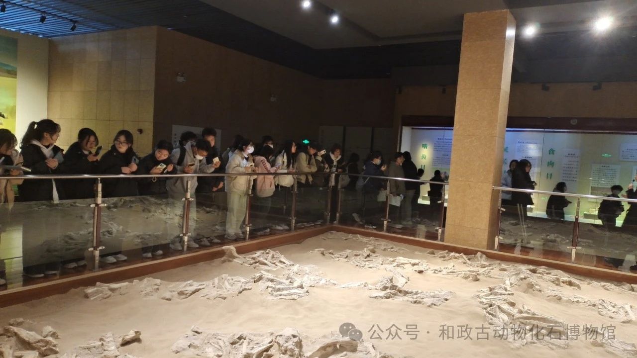 微信图片_20241030113430.jpg