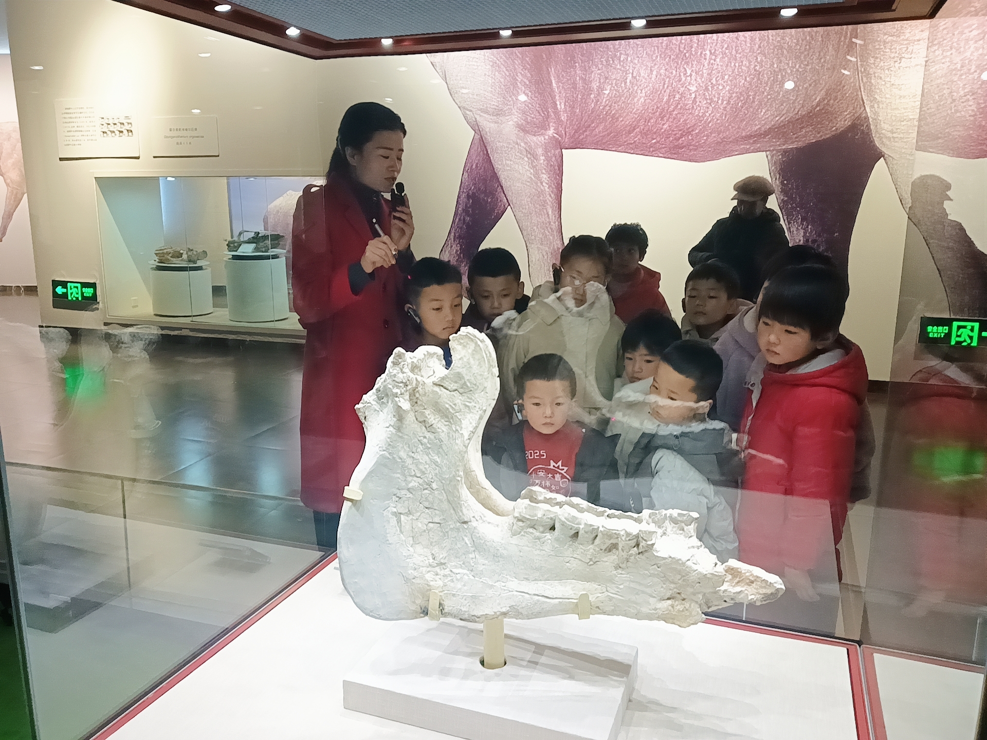 微信图片_202502131558431.jpg
