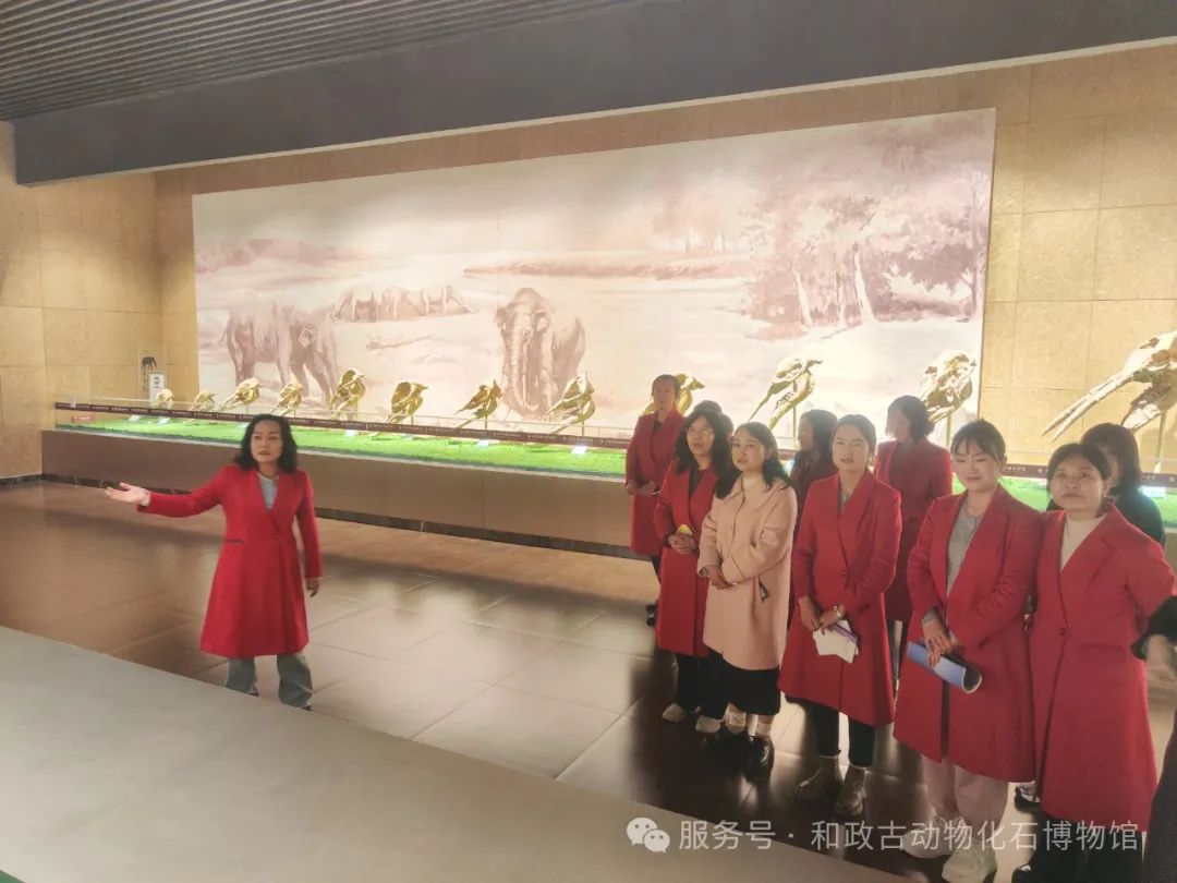 微信图片_20250317131454.jpg