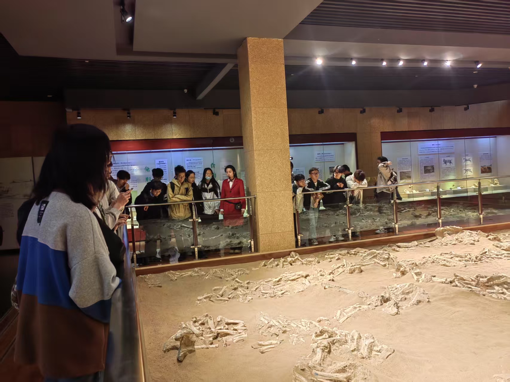 微信图片_20250429091418.jpg