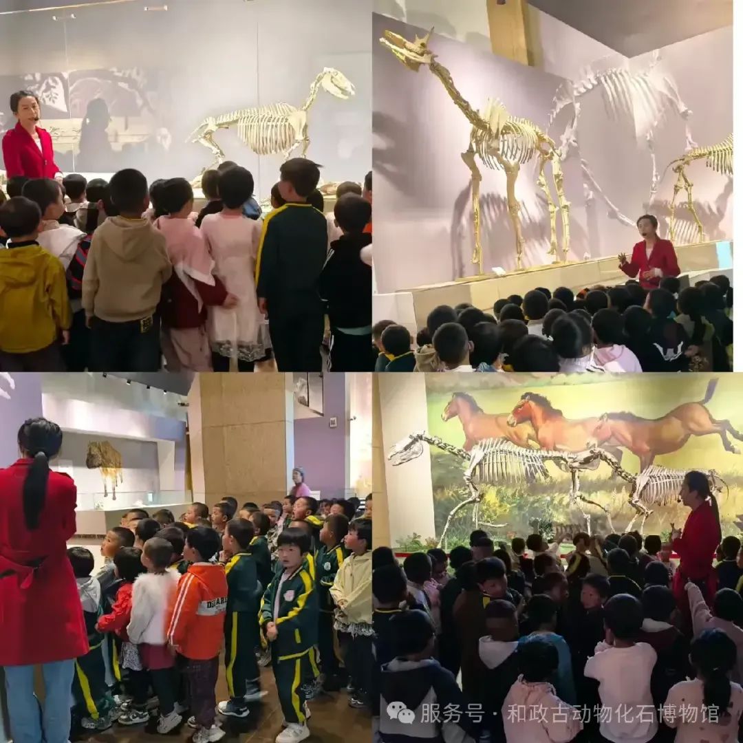 微信图片_20250429142335.jpg