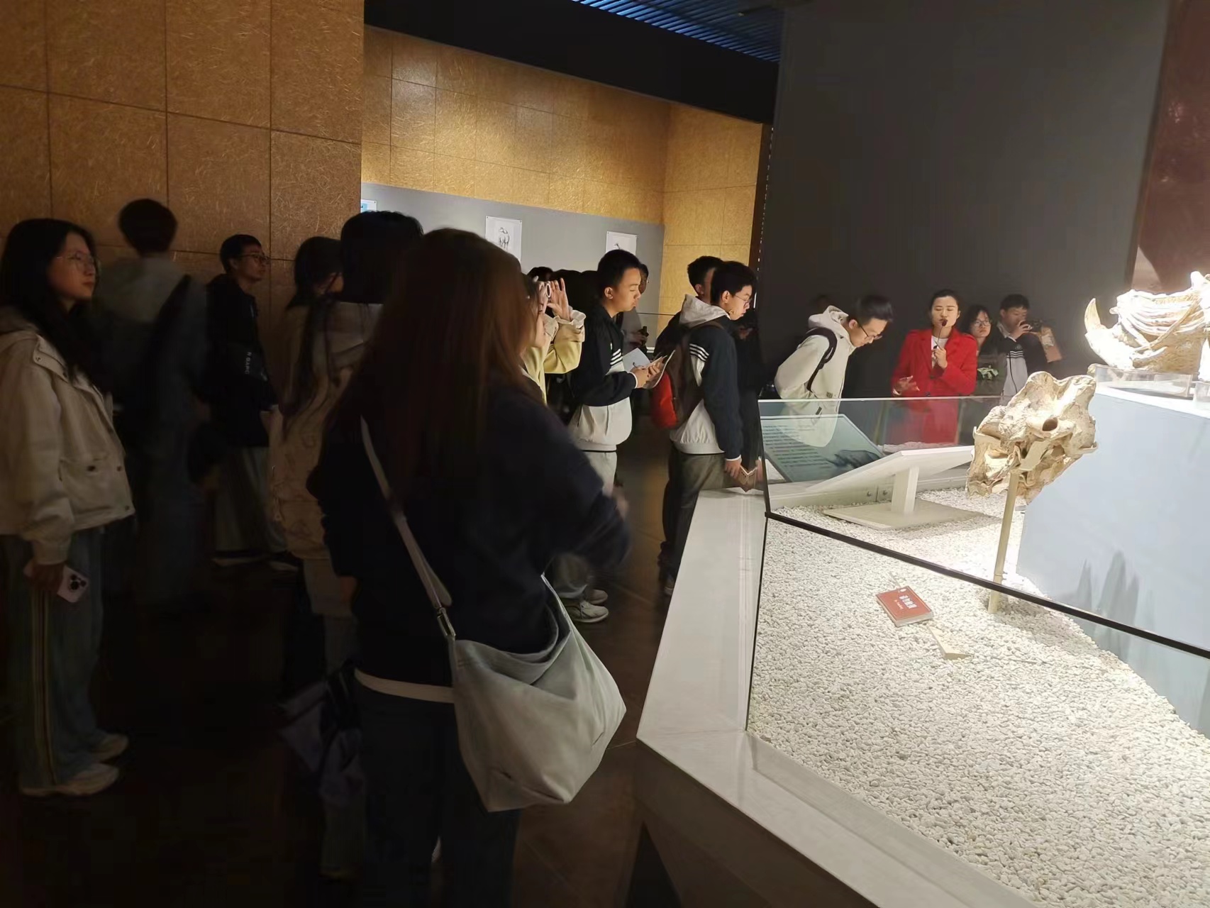 微信图片_20250429091416.jpg